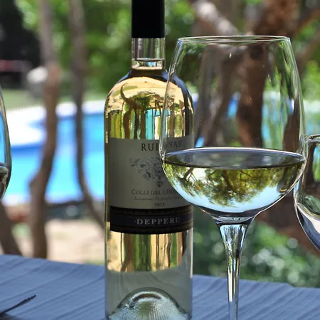 ホテル Su Giganti 3*